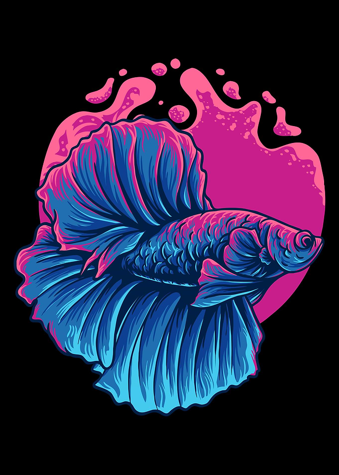 Betta fish