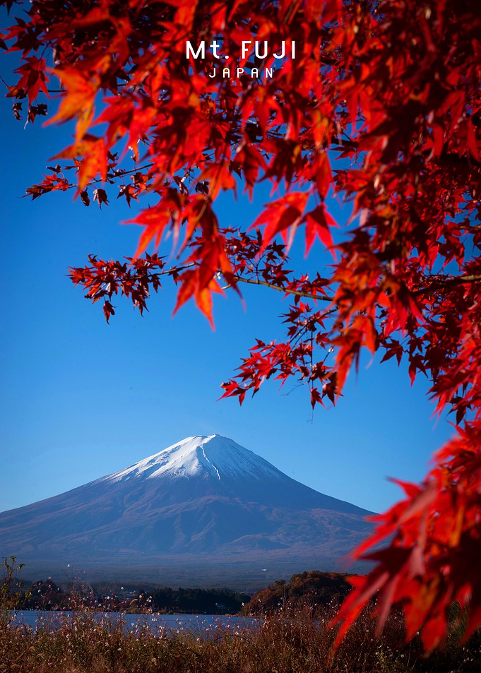 Mount Fuji
