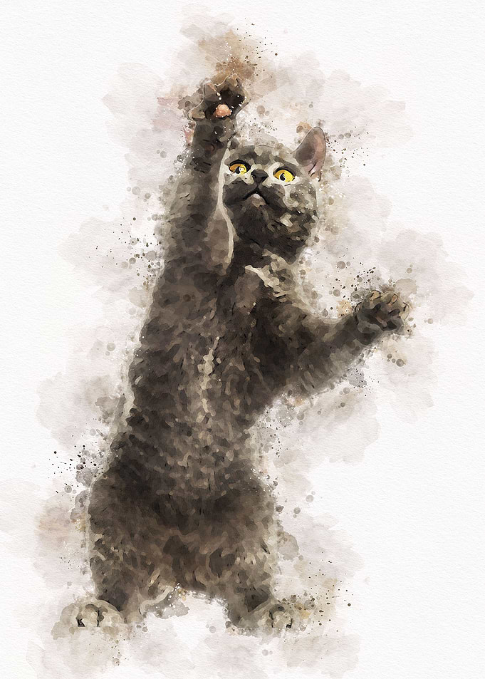 Watercolor Cute Cat