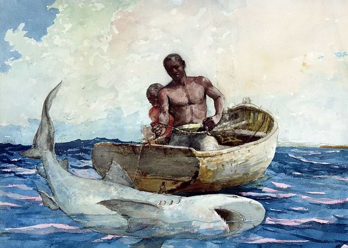 Shark fishing