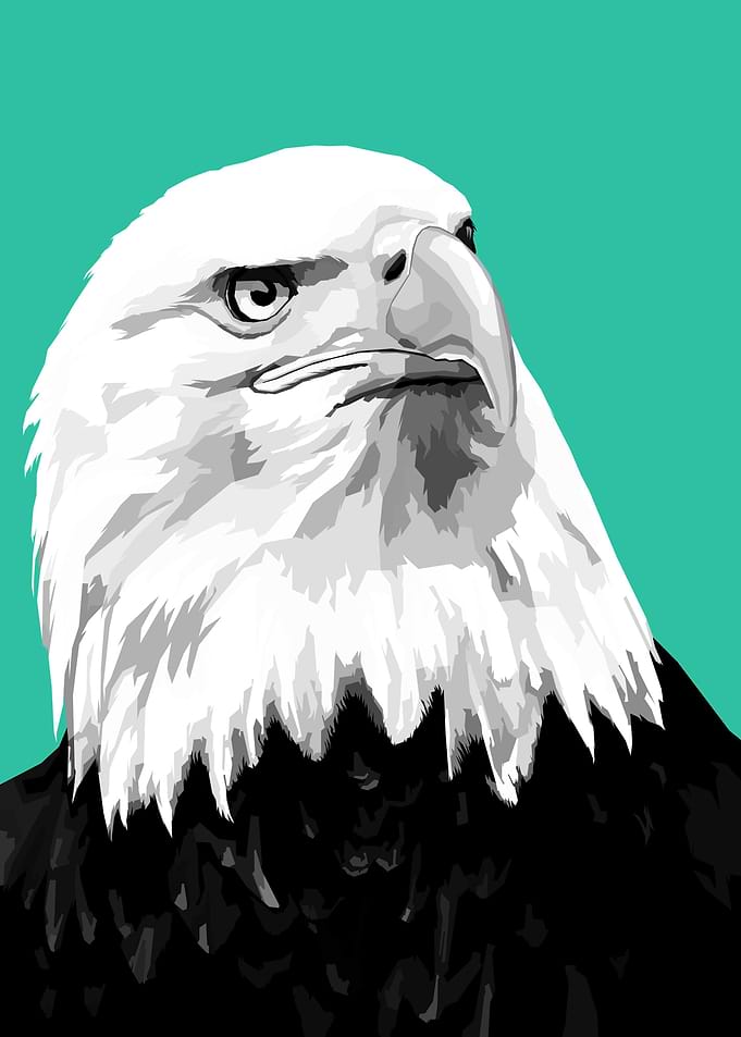 Eagle Retro art