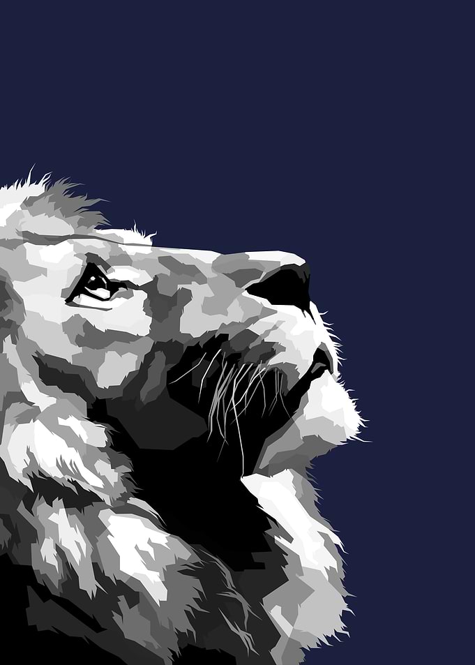 Lion Black and white