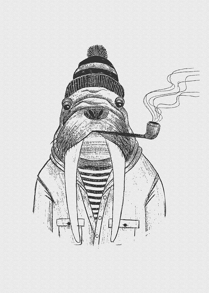 Vintage Animal Fashion