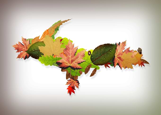 Fall UP Outline