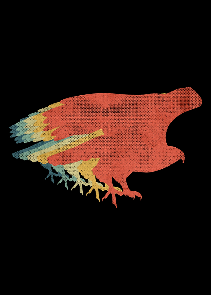 Eagle Retro Vintage Color