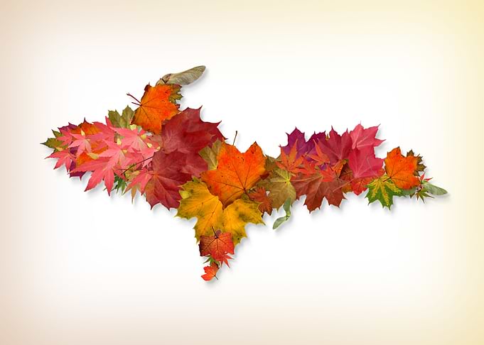 Autumn UP Outline
