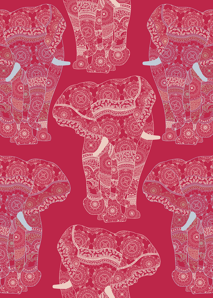 Viva Majestic Elephants 2