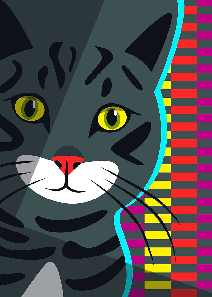 Gray Grey Disco Cat
