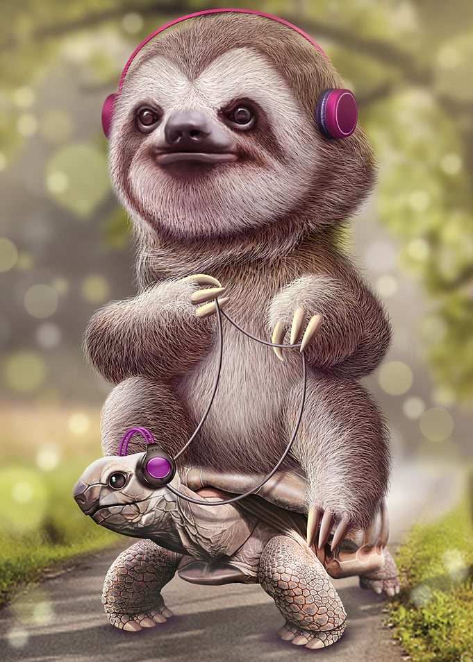 SLOTH RIDES TORTOISE