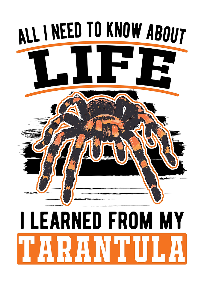 Tarantula Spider