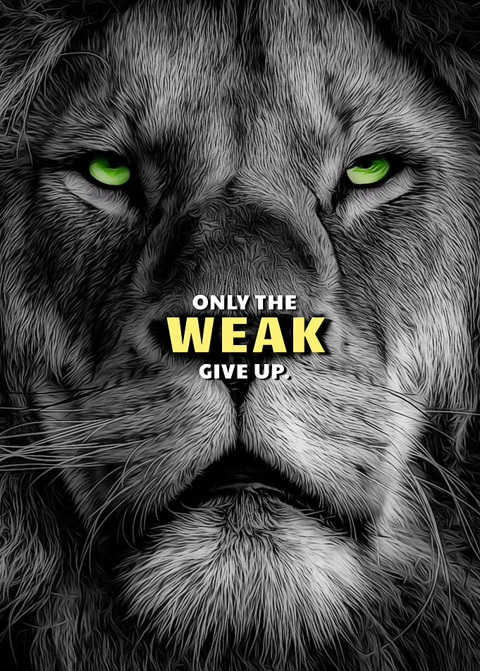 Lions Never Give Up