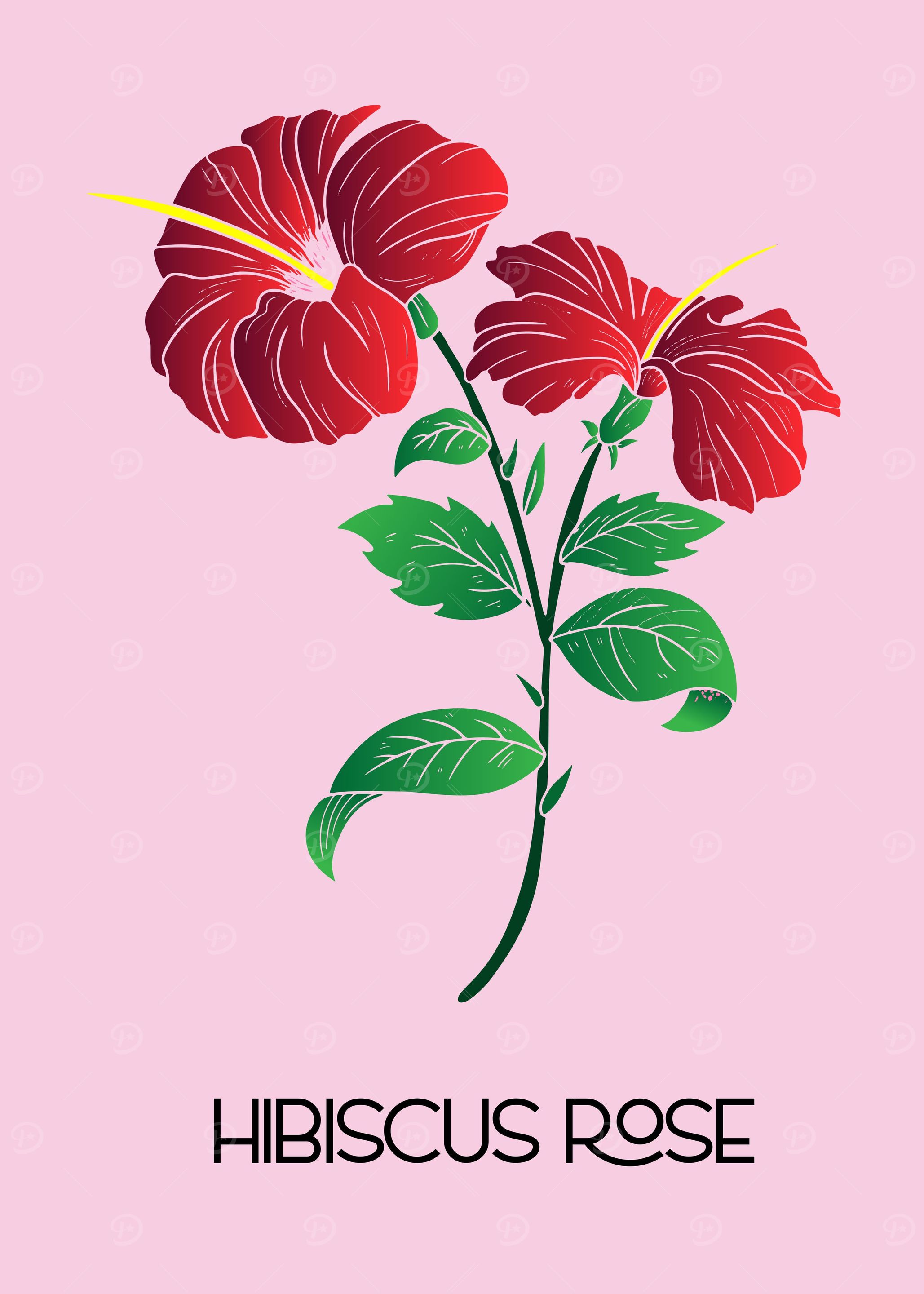 Tropical hibiscus flower