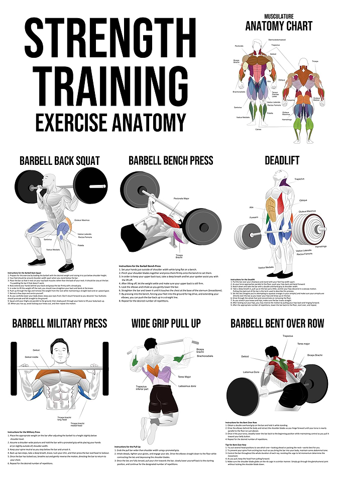 Exercise Diagrams Charts