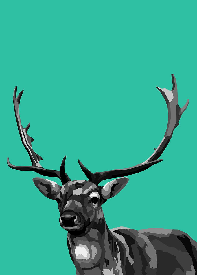 Deer Black and white