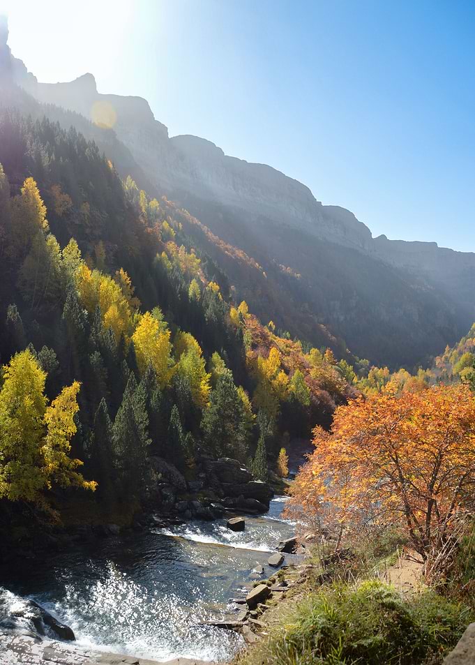 Autumn Colors
