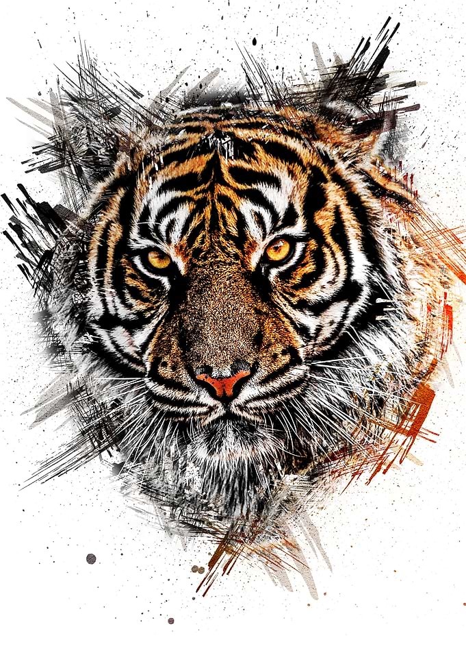 Animal Tiger