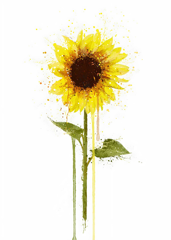 Botanical Sunflower