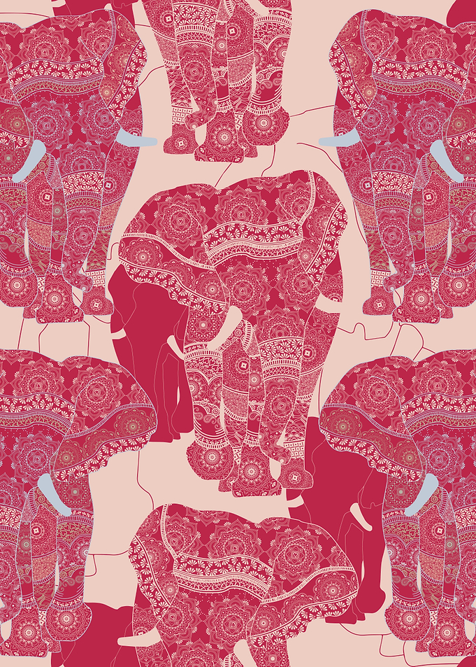 Viva Majestic Elephants 1