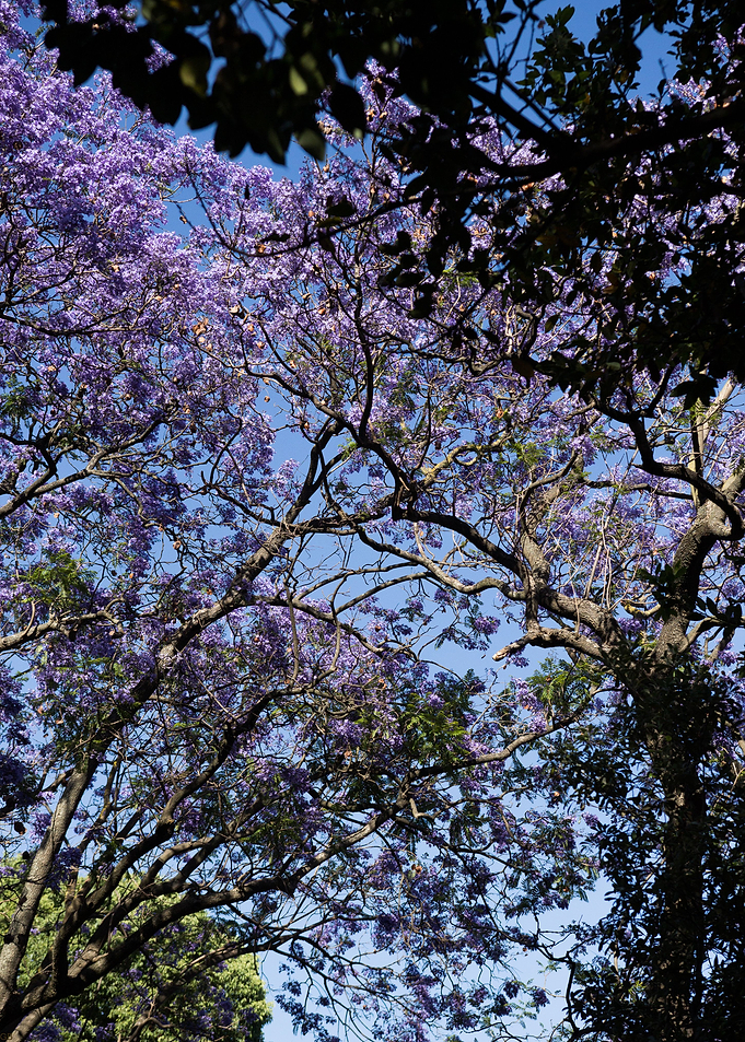 Lisbon Portugal