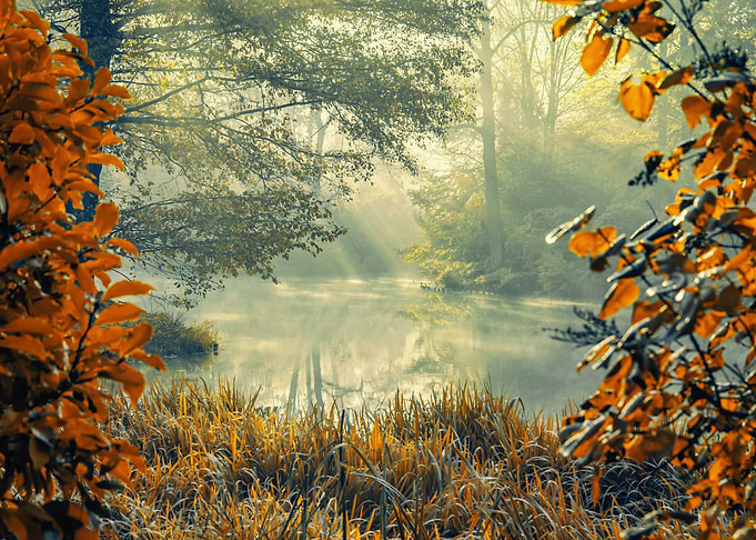 Autumn pond in the morning