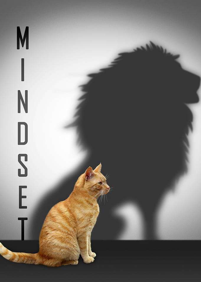 Mindset is everything