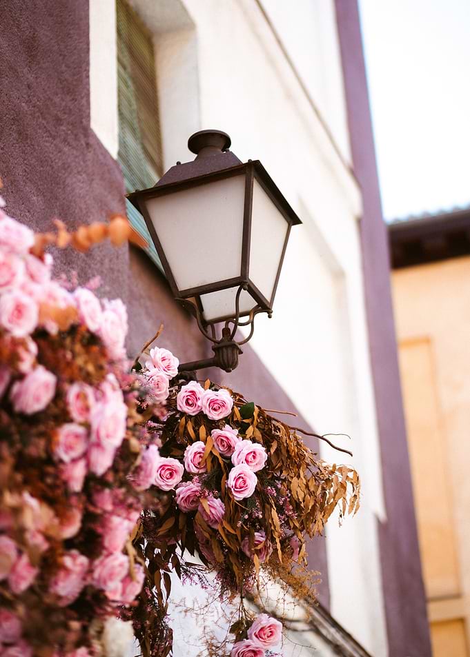 Lamp among the Roses