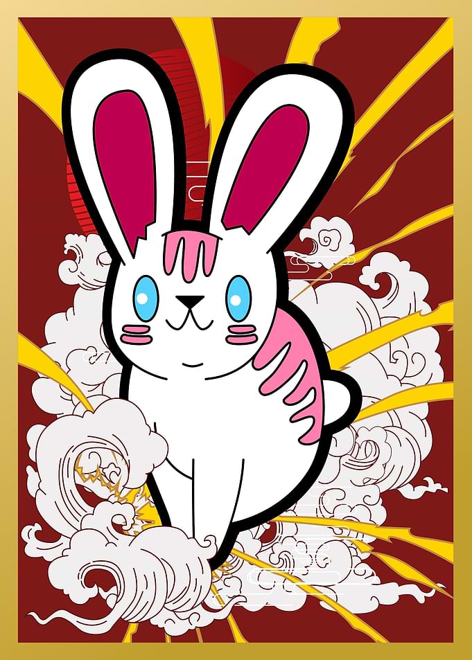 Rabbit illustration