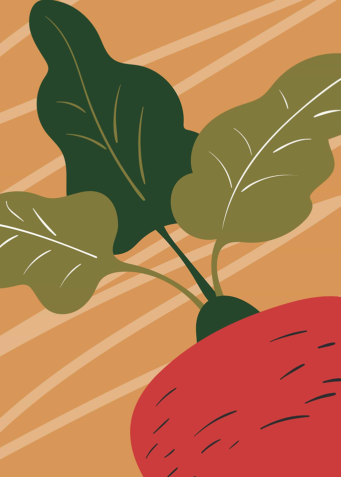 Minimalist Root Vegetable