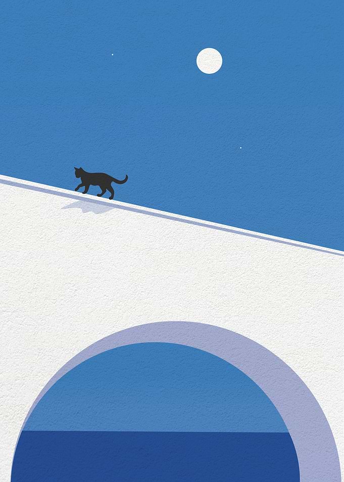 Cat Crossing a Bridge