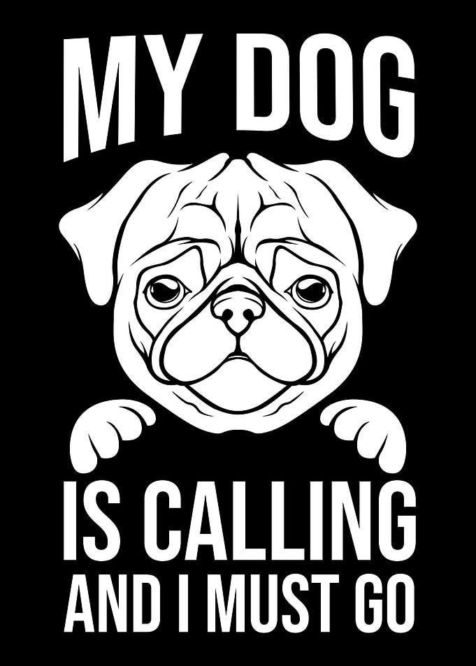 Pug Dog