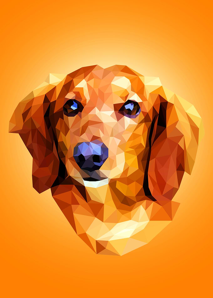 Dachshund