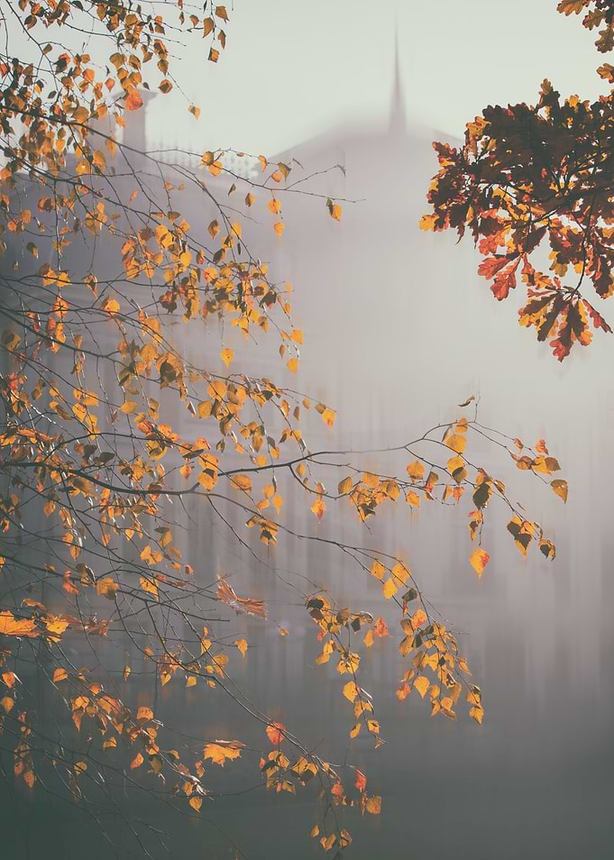 Misty autumn morning,park