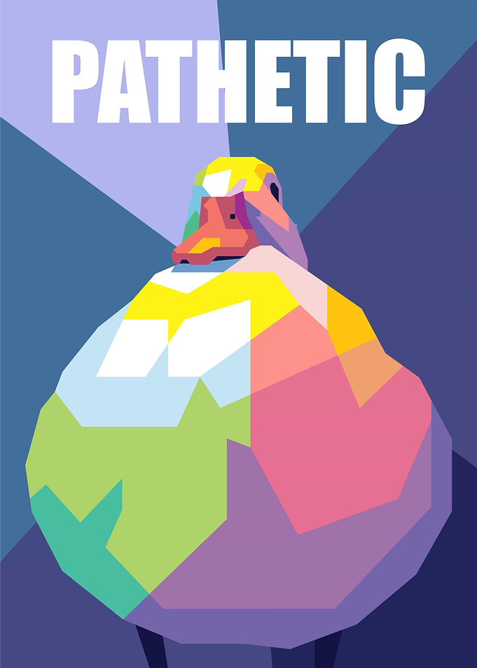 pathetic duck meme