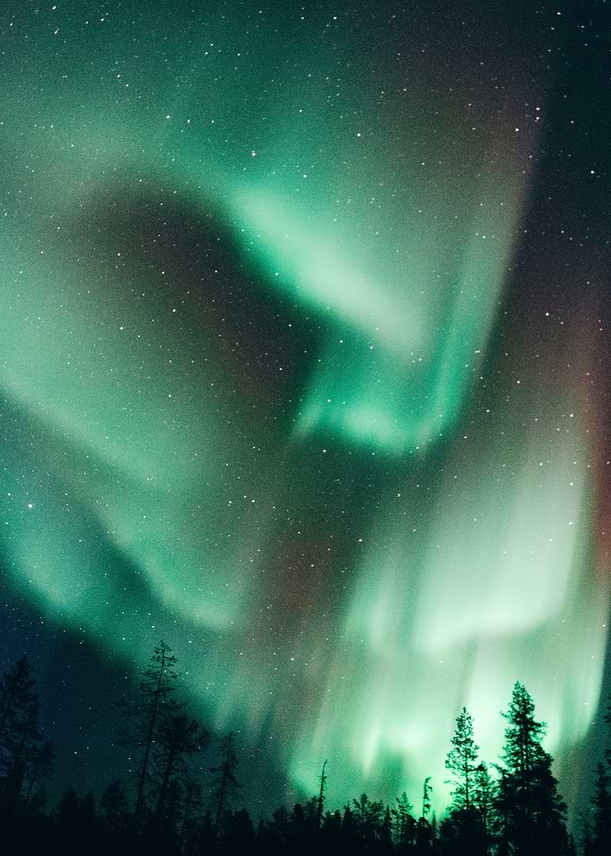 Terrific Northern Lights
