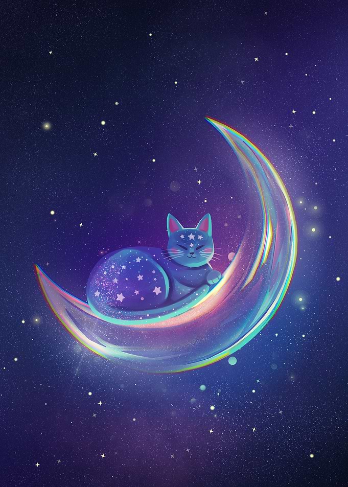 Cat on the moon