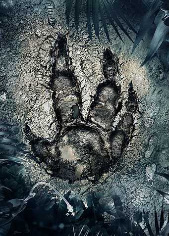 Animal Track