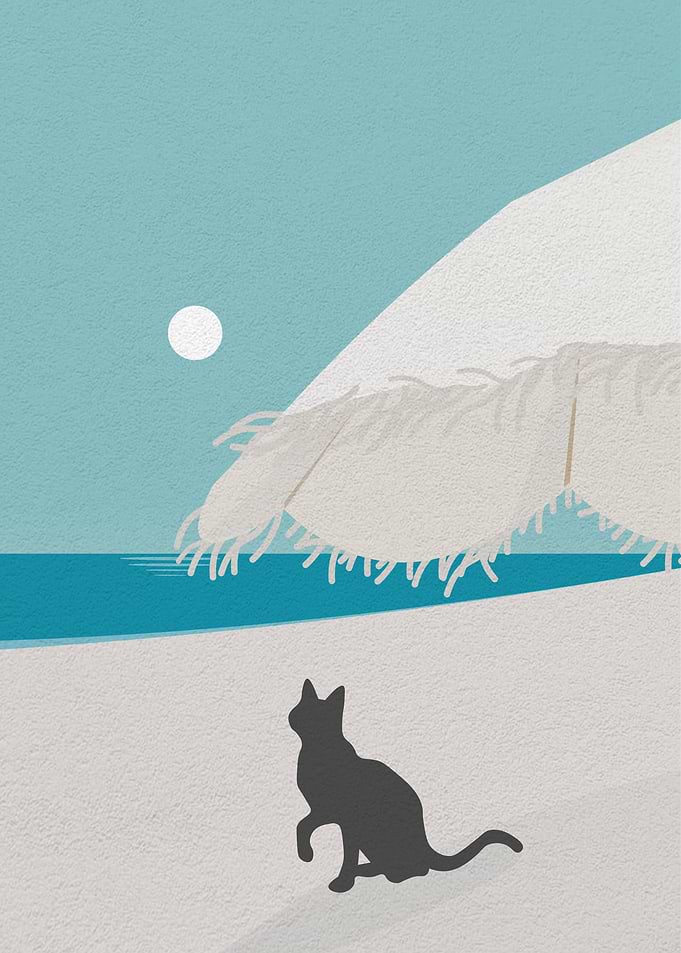Funny Cat Holiday