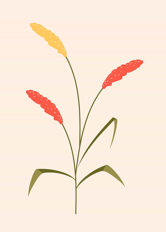 Colorful botanical floral