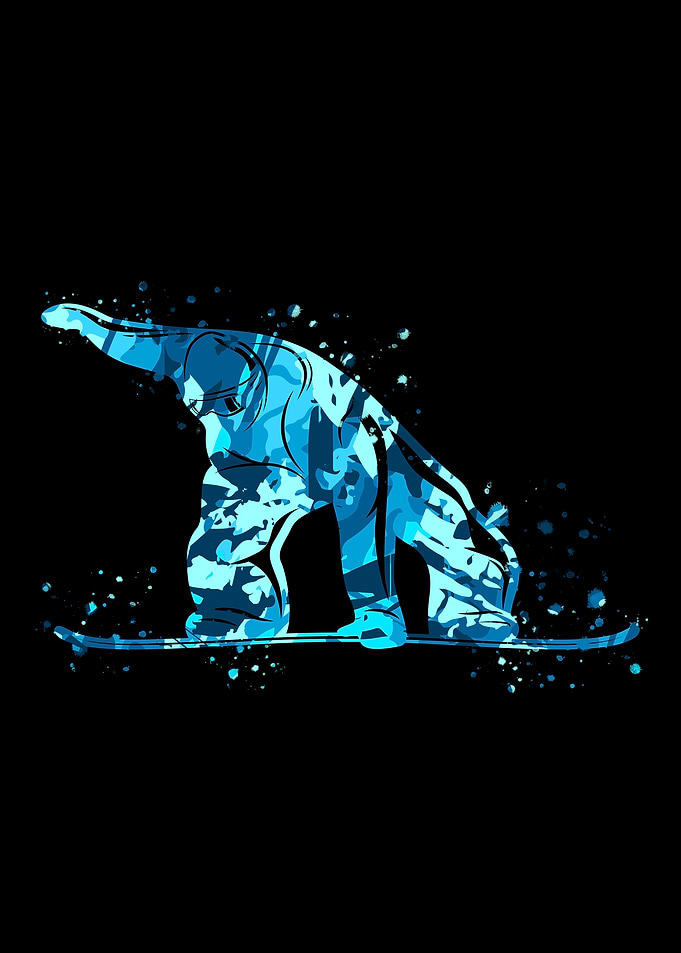 Winter Sport Game