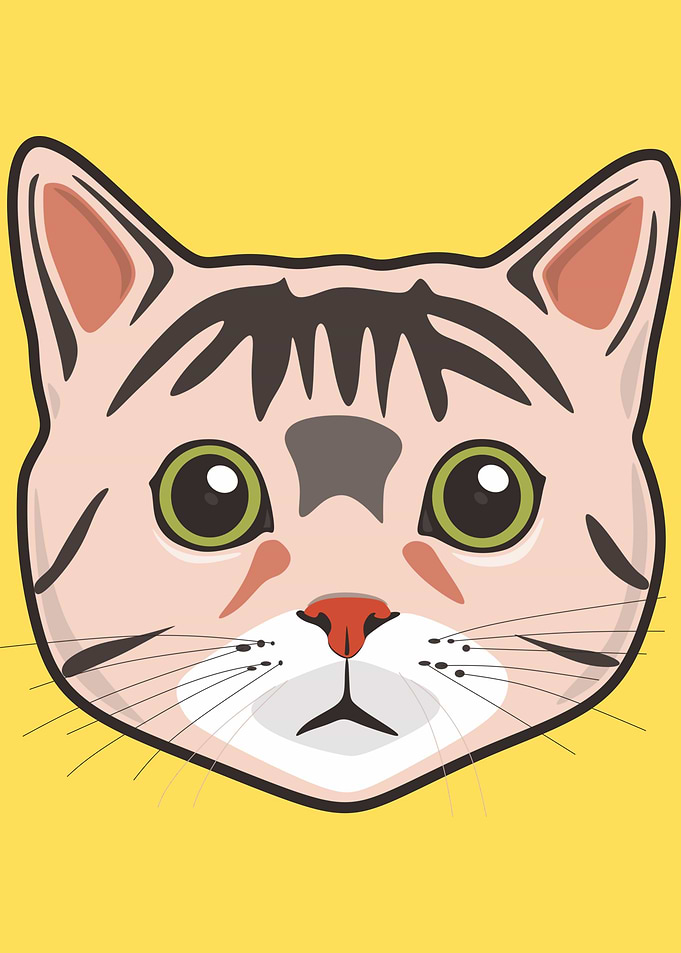 Funny Cat