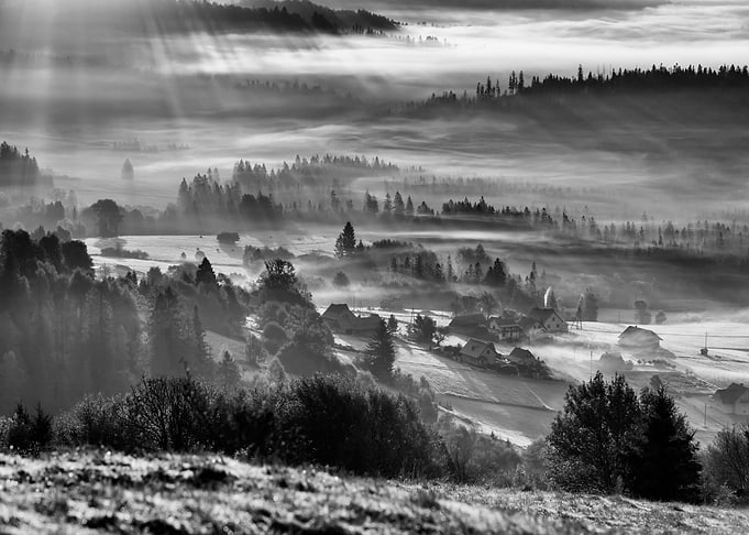 B&W, mountains,autumn,fog