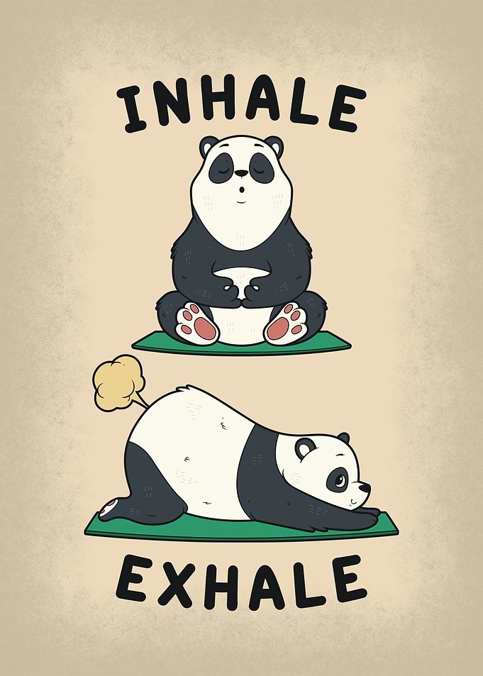 Funny Anime Yoga Panda