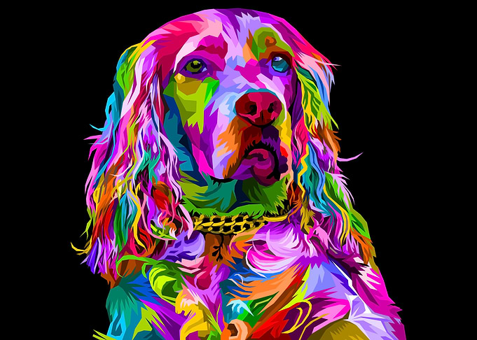 Colorful cocker spaniel