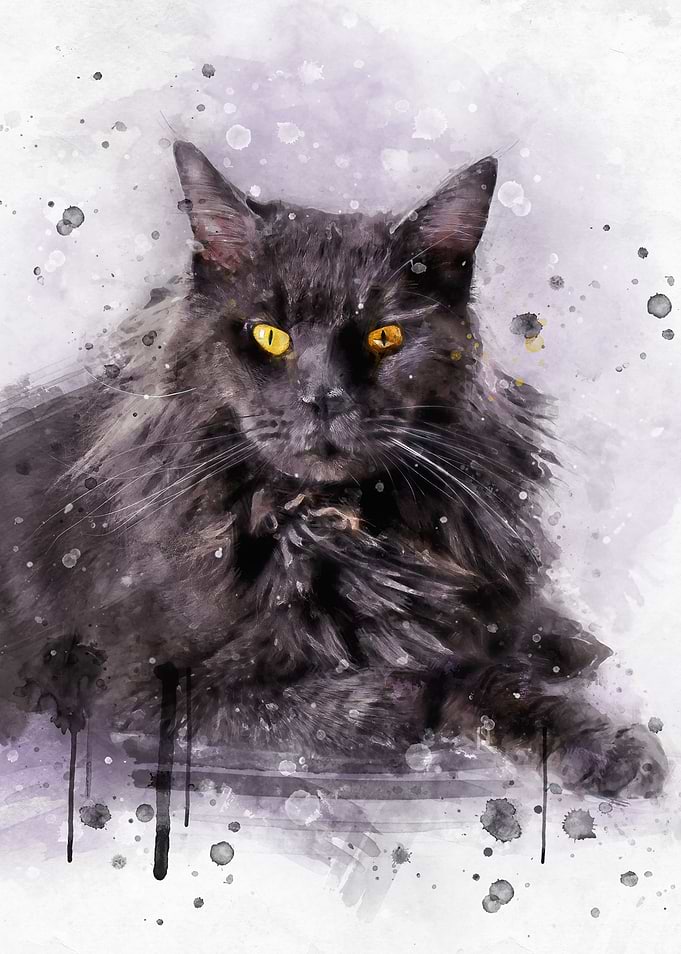 Maine Coon cat watercolor