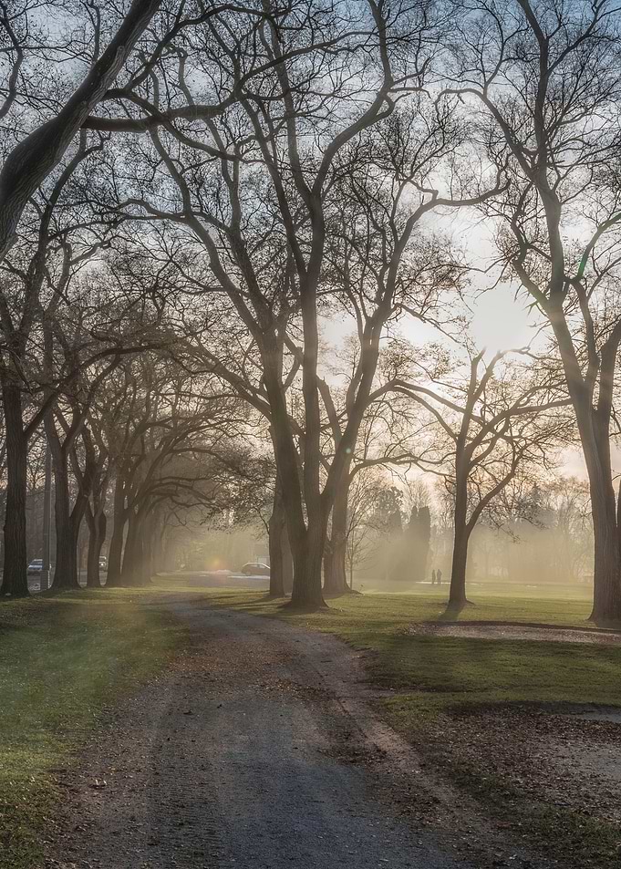 Afternoon Fog Rolls In