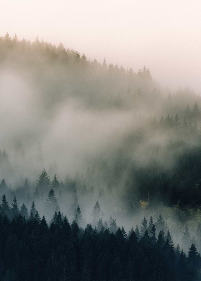 Issaquah Washington