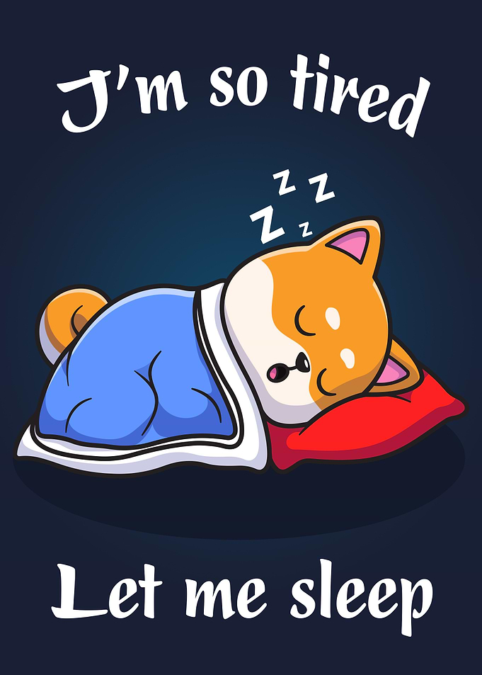 Shiba Tired Let Me Sleep