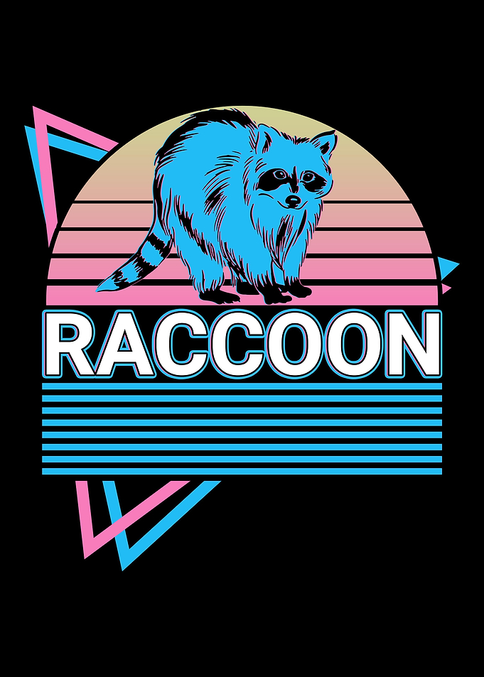Raccoon Retro