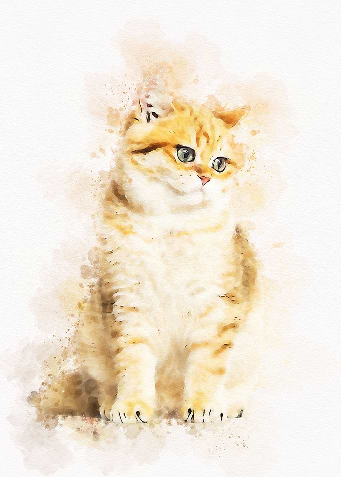 Vintage Cat Watercolor