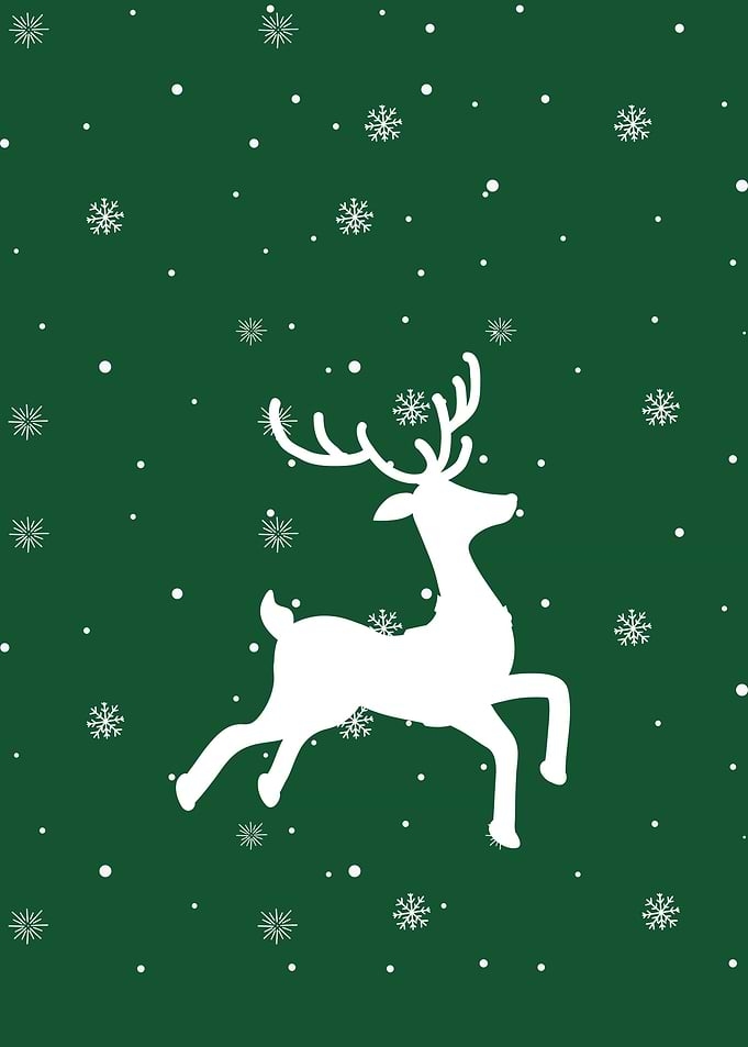 Winter White Reindeer